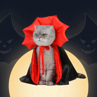 Dracula Cat Costume