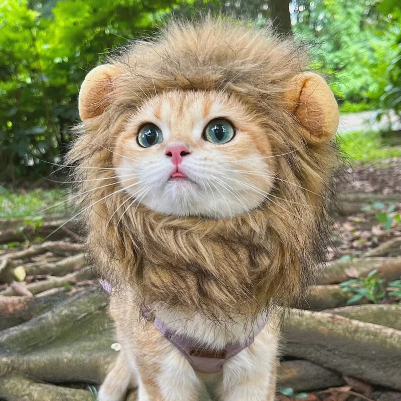 Lion Mane Costume