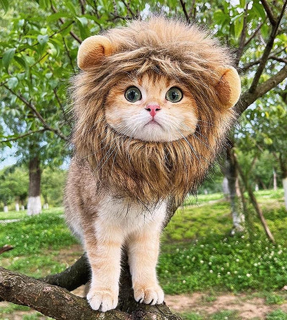 Lion Mane Costume